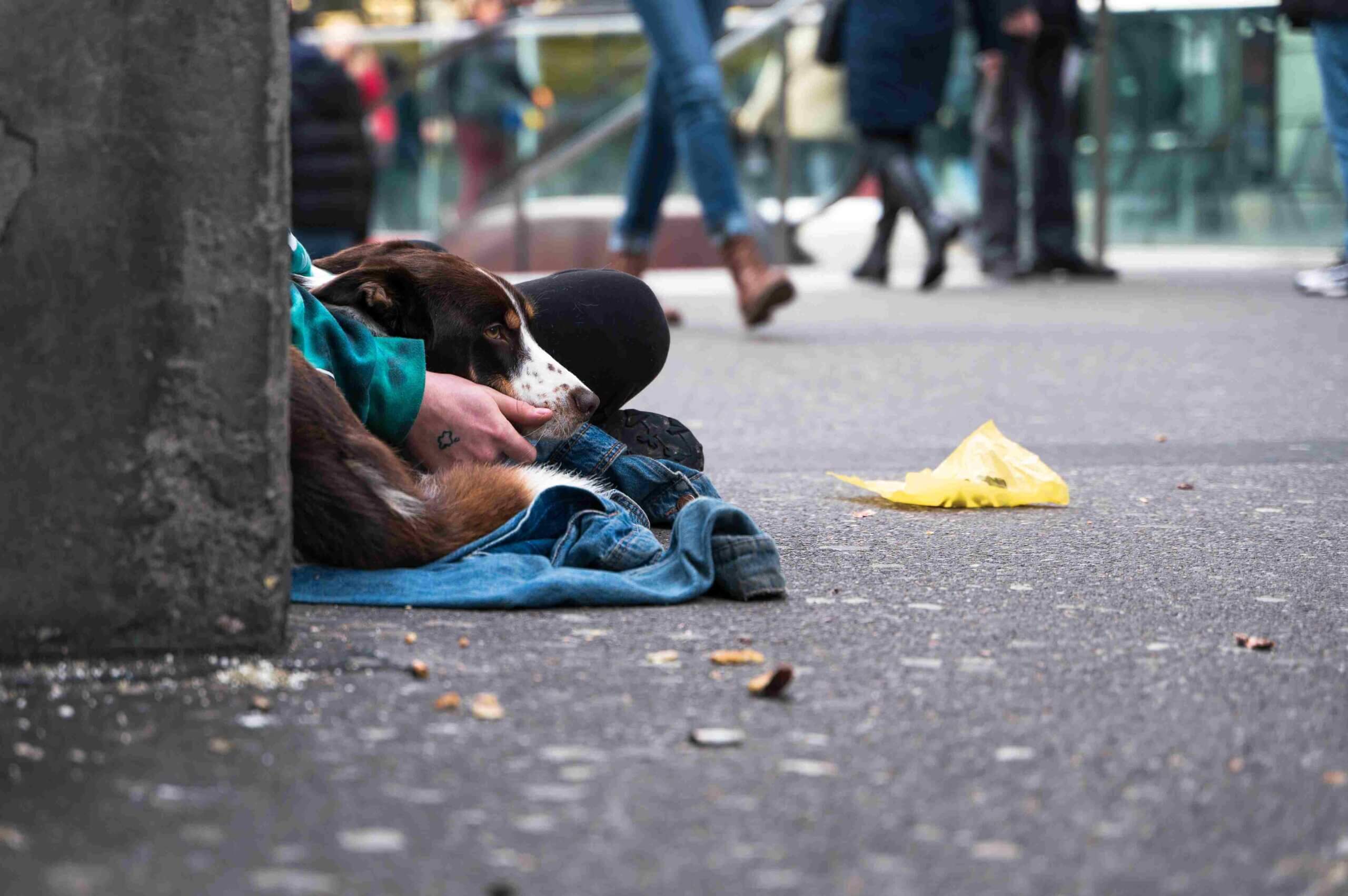 Программа по бездомности ветеранов: Конкретная поддержка в Монреале