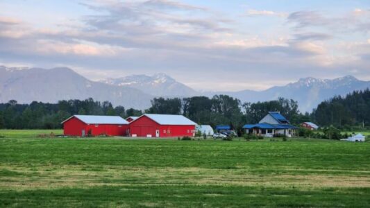 A serene farm in Agassiz, BC with red barns and mountain backdrop under a blue sky.