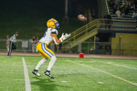 Пять лучших ресиверов для фэнтези-лиги CFL в сезоне-2026