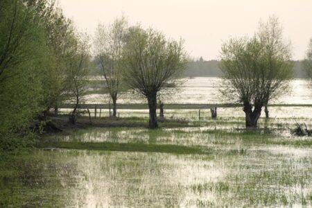 Уровень воды в озере Тимискаминг продолжает расти