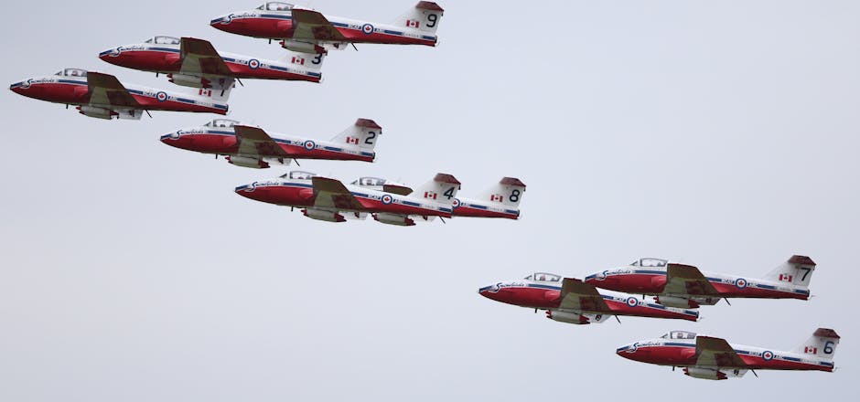 Консерваторы выступили против отмены выступлений пилотажной группы Snowbirds