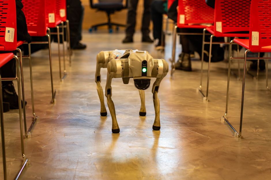 A robotic dog navigates an indoor setting amidst red chairs, showcasing technology in modern environments.