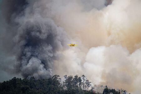 Aviation plane fights a massive forest fire, engulfed in thick smoke, showcasing emergency response.