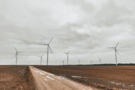 Expansive field showcasing towering wind turbines under an overcast sky.